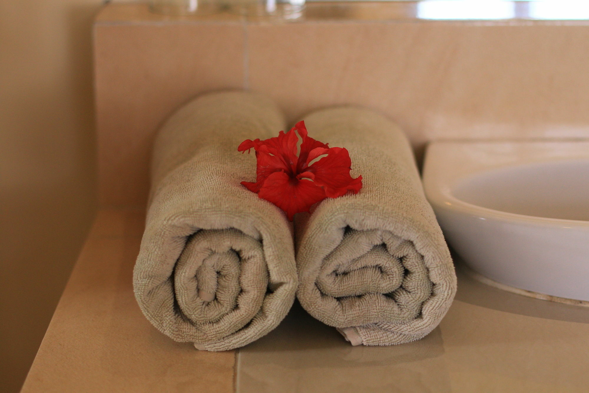Frangipani Bungalow Ubud Zewnętrze zdjęcie